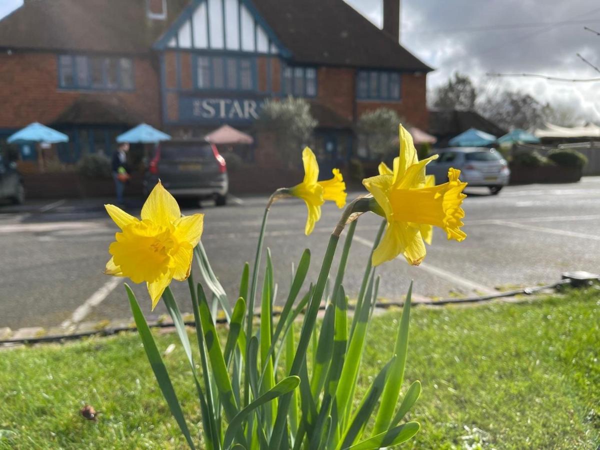 The Star Inn Lingfield Exteriör bild