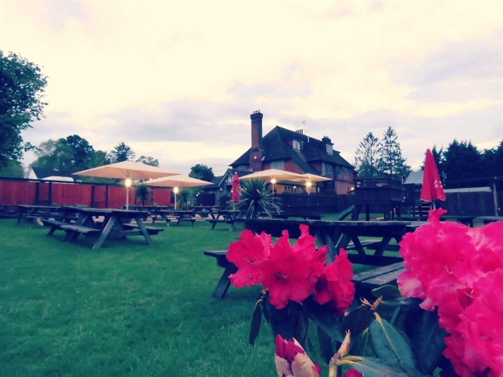 The Star Inn Lingfield Exteriör bild